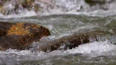 İspanyol Pirene dağlarında, kaya yakın ile bol nehir detay