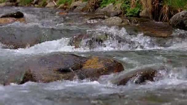 Abundante Detalle Fluvial Con Primer Plano Roca Las Montañas Del — Vídeo de stock