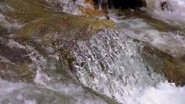 Överflödande Flod Specificerar Med Närbild Vaggar Spanska Pyreneesna Berg — Stockvideo