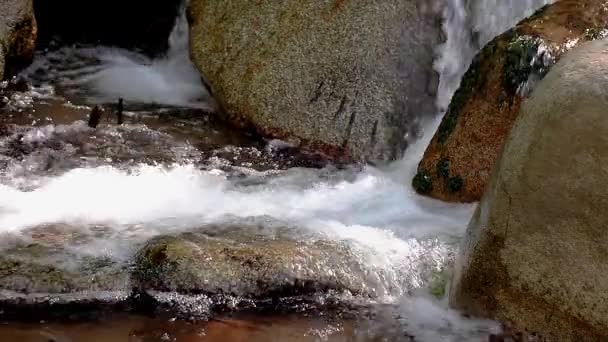Изобилие Деталей Реки Крупным Планом Скалы Испанских Горах Пиренеи — стоковое видео