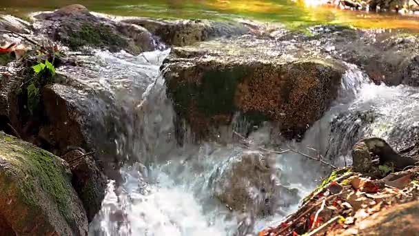 Abundante Detalle Fluvial Con Primer Plano Roca Las Montañas Del — Vídeo de stock