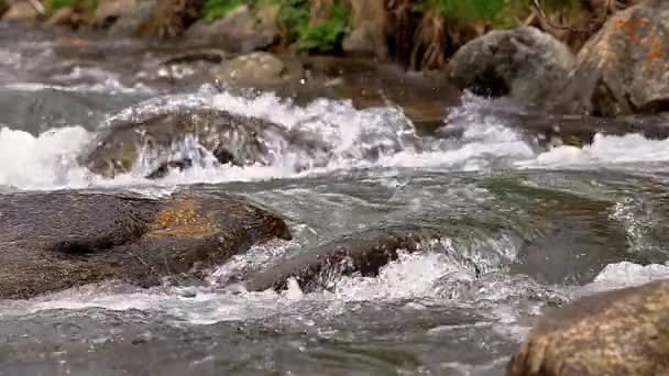 Överflödande Flod Specificerar Med Närbild Vaggar Spanska Pyreneesna Berg — Stockvideo