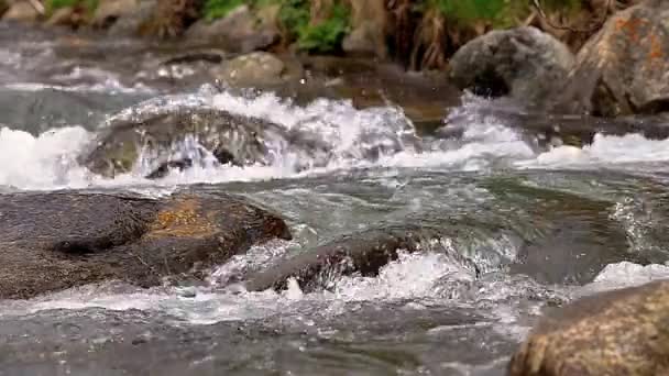 Abounding River Detail Close Rock Spanish Pyrenees Mountains — Stock Video