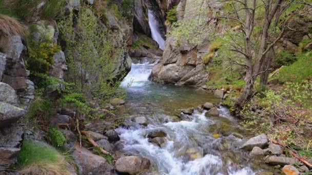スペインのカタルーニャ州のヌリア渓谷の美しいベールカスケード滝 苔むした岩 — ストック動画