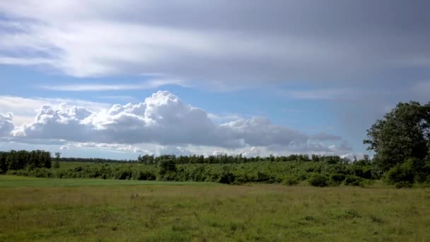 Indrukwekkende Storm Wolken Weide Timelapse Beelden — Stockvideo