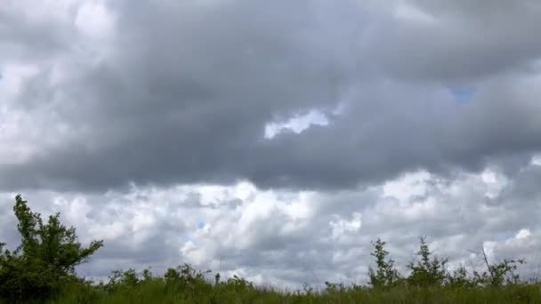 Působivé Bouřkové Mraky Nad Loukou Časová Prodleva — Stock video