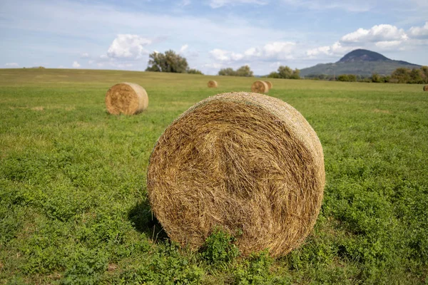 Haystacks on the meadow in Hungar — Stock Photo, Image