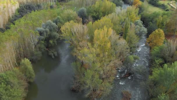 西班牙河 特尔河上空的无人机摄像 — 图库视频影像