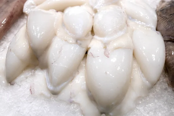 Peixes em um mercado na cidade Palamos em Espanha — Fotografia de Stock