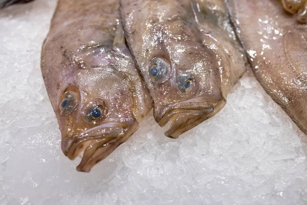 Fiskar på en marknad i staden Palamos i Spanien — Stockfoto