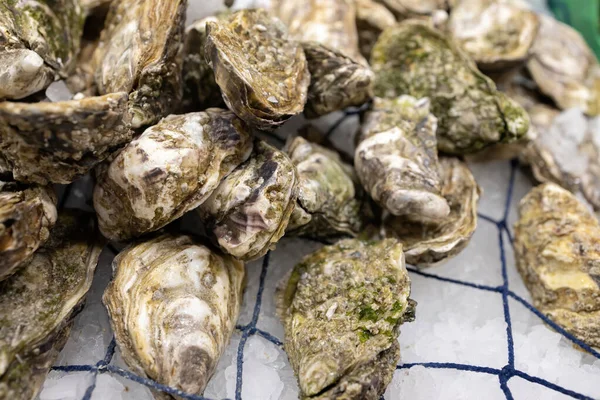 Zeevruchten op een markt in de stad Palamos in Spanje, soort oester — Stockfoto