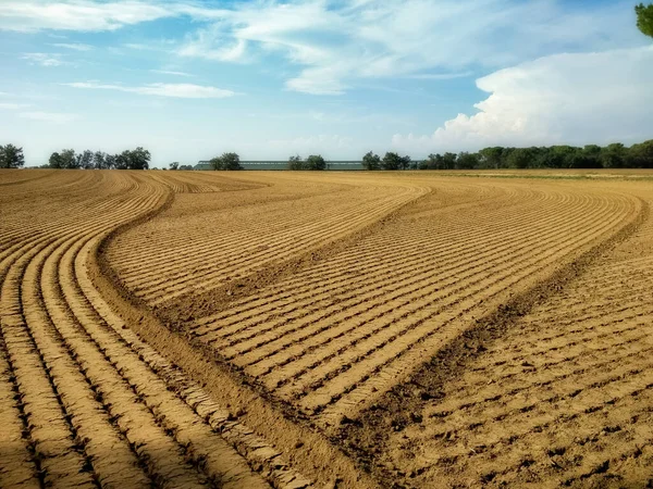 Interessant patroon in het ploegveld — Stockfoto