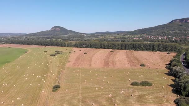 Imagens Drones Aéreos Fardos Feno Prado Hungria — Vídeo de Stock