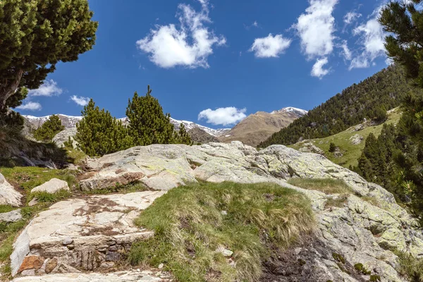 Valle muy bonito de España, Pirineos de montaña (nombre Vall de Nuria ) — Foto de Stock