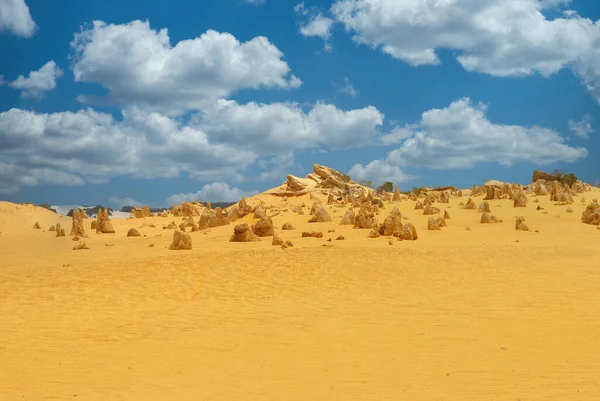 Пустыня Пиннаклс Западной Австралии — стоковое фото