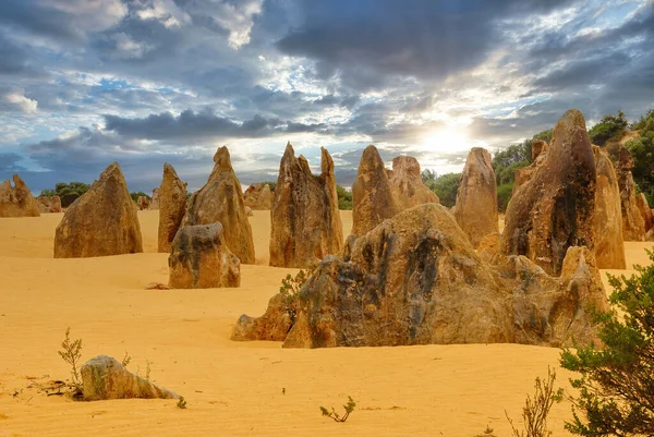 Pinnacles Desert Western Australia — Stock Photo, Image
