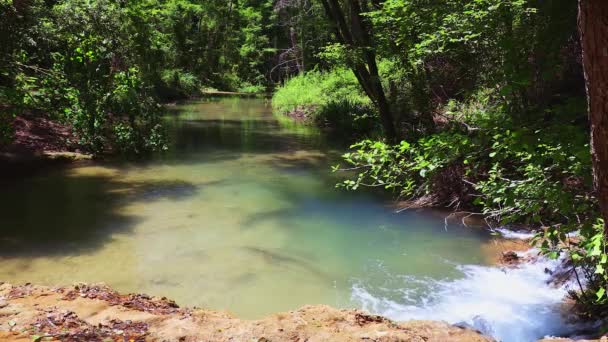 Tranquil Creek Στο Δάσος Της Ισπανίας Μια Ηλιόλουστη Ανοιξιάτικη Μέρα — Αρχείο Βίντεο