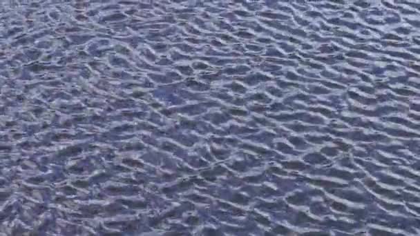 自然背景下的水波 — 图库视频影像