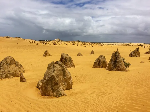 Пустыня Пиннаклс Западной Австралии — стоковое фото