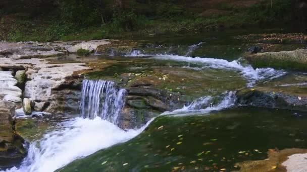 Небольшая Река Лесу Рядом Деревней Рупит Каталонии — стоковое видео