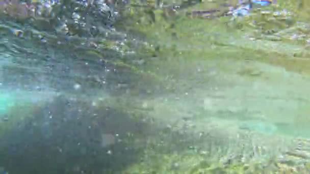 Unterwasseraufnahmen Einem Klaren Schnellen Gebirgsbach Spanien Pyrenäen — Stockvideo