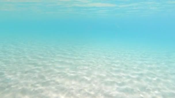 Agua Azul Transparente Playa Costa Brava Española — Vídeo de stock