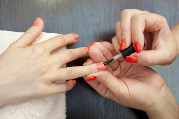 The master of the manicure paints nails with nail polish during the procedure of nail extensions with gel in the beauty salon. Professional care for hands.