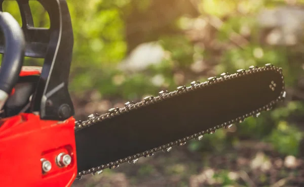 Woodcutter Holding Chainsaw Forest Close — Stock Photo, Image