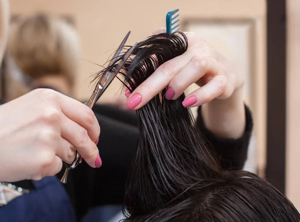 Coiffeur Fait Une Coupe Cheveux Avec Des Ciseaux Chauds Cheveux — Photo