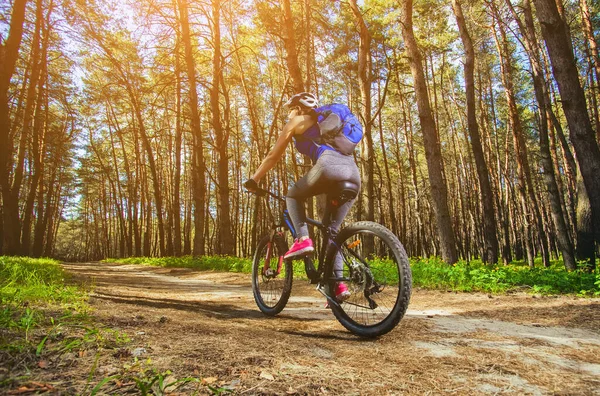 一个年轻的女人 一个戴着头盔的运动员夏天骑着山地车在城外的松林路上 — 图库照片