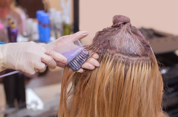 The hairdresser paints the woman's hair in white, apply the paint to her hair in the beauty salon.