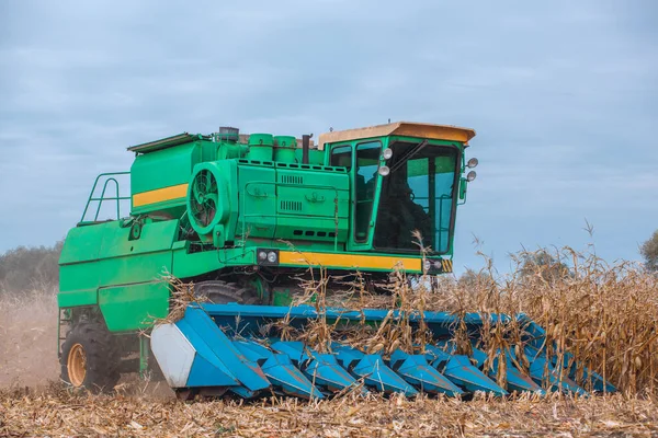 Een Grote Maaidorser Oogst Maïs Het Veld Een Zonnige Dag — Stockfoto