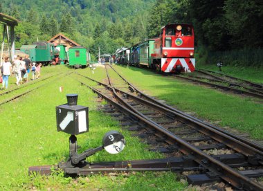 18 Temmuz 2018: Cisna - Majdan, Polonya: Cisna - Majdan Bieszczady Dağlar, Bieszczady Tren İstasyonu