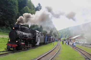 18 Temmuz 2018: Cisna - Majdan, Polonya: Cisna - Majdan Bieszczady Dağlar, Bieszczady Tren İstasyonu