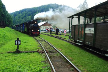 18 Temmuz 2018: Cisna - Majdan, Polonya: Cisna - Majdan Bieszczady Dağlar, Bieszczady Tren İstasyonu