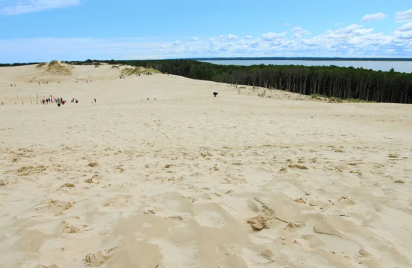 June 2018 Tourist Sand Dunes Leba Slowinski National Park Poland — Stock Photo, Image