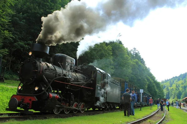 Juillet 2018 Cisna Majdan Pologne Gare Bieszczady Cisna Majdan Dans — Photo