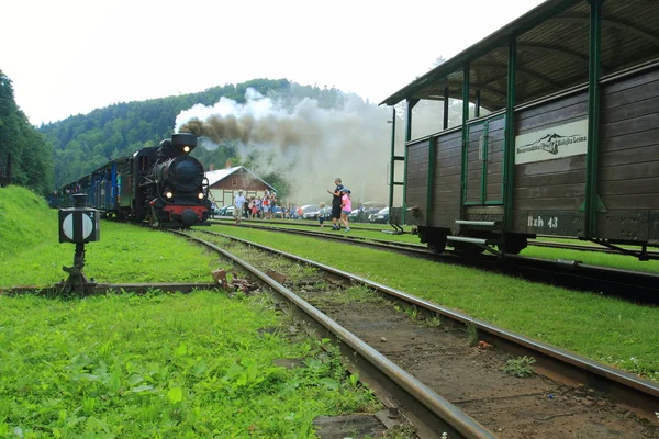 Juillet 2018 Cisna Majdan Pologne Gare Bieszczady Cisna Majdan Dans — Photo