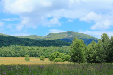 Tarnica. En yüksek Dağı Bieszczady Dağlar, Bieszczadzki Milli Parkı, Polonya
