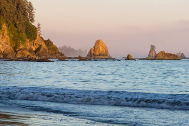 Üçüncü Beach, olimpik Milli Parkı, Washington
