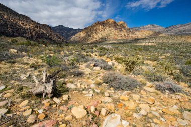Red Rock Canyon Ulusal Koruma alanı Las Vegas, Nevada batısı boyunca dağlar.