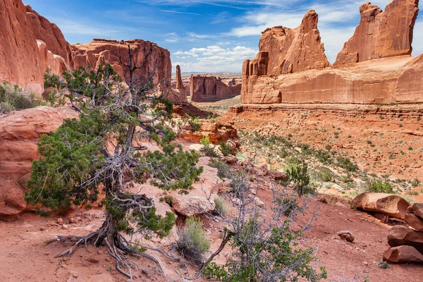 Park Avenue Arches National Park Moab Utah — Stock Photo, Image