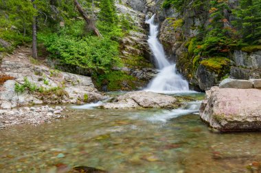 Aster Falls, buzul Milli Parkı, Montana