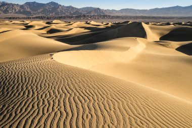 Mesquite Dunes soba borusu Wells bölgesinde Kaliforniya'da Ölüm Vadisi Milli Parkı yer.