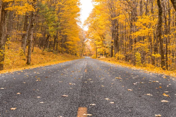 Fall Foliage Shenandoah National Park Blue Ridge Parkway — Stock Photo, Image