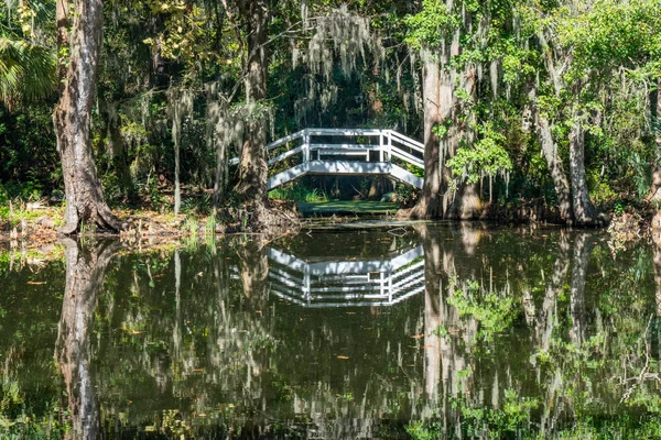 Ponte sulla palude del cipresso — Foto Stock