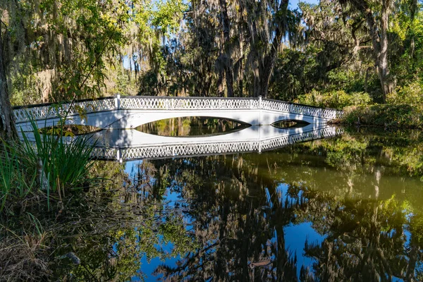 Bridge over Cypress Swamp