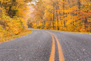 Sonbahar boyunca Blue Ridge Parkway