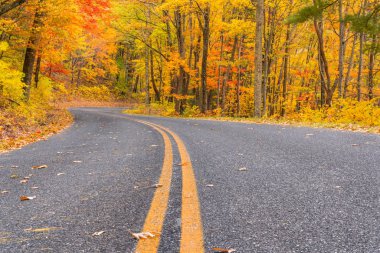 Sonbahar boyunca Blue Ridge Parkway