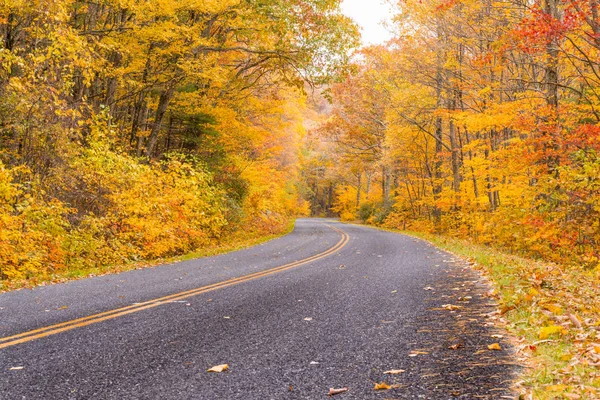 Φθινόπωρο κατά μήκος το Blue Ridge Parkway — Φωτογραφία Αρχείου